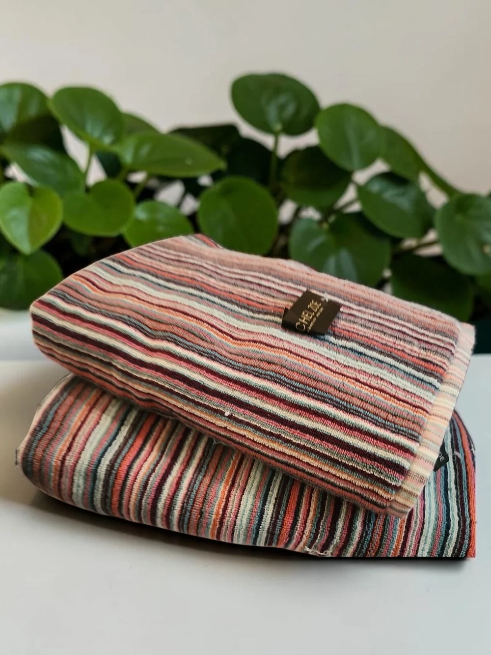 Rachel Zoe 2 Bath Towels Striped Colorful Multicolored